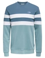ONLY & SONS ONSTHOR REG LOGO CB CREW 3626 SWT C 22023626