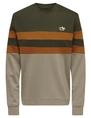ONLY & SONS ONSTHOR REG LOGO CB CREW 3626 SWT C 22023626