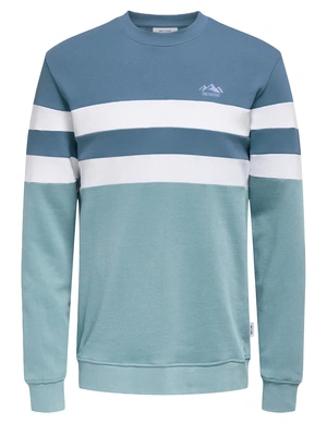 ONLY & SONS ONSTHOR REG LOGO CB CREW 3626 SWT C 22023626
