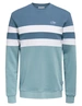 ONLY & SONS ONSTHOR REG LOGO CB CREW 3626 SWT C 22023626