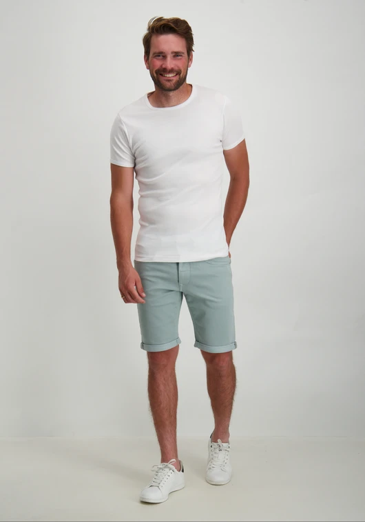 Petrol Jackson Jogg Coloured - Denim Short M-1040-SHO005
