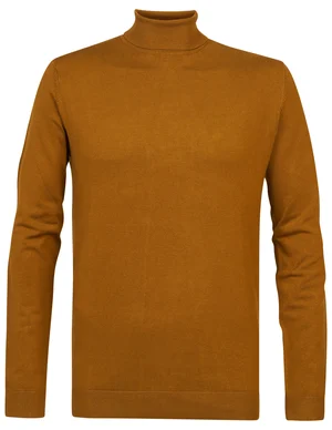 Petrol Men Knitwear Collar Basic M-3020-KWC002