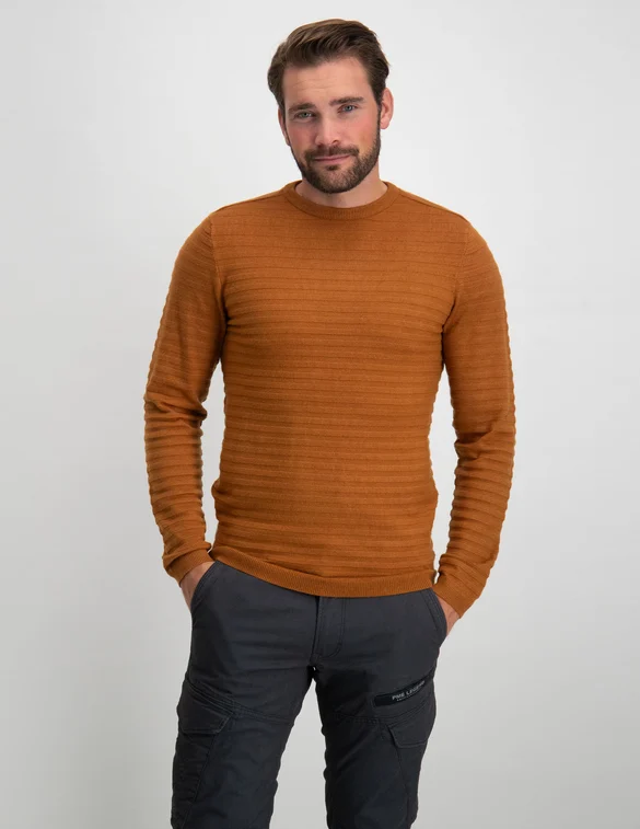 Petrol Men Knitwear Round Neck Basic M-3030-KWR269