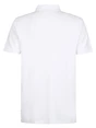 Petrol Men Polo Short Sleeve M-1050-POL945