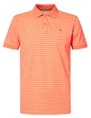 Petrol Men Polo Short Sleeve M-2020-POL950