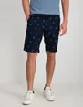 Petrol Men Shorts Chino M-1020-SP-SHO603