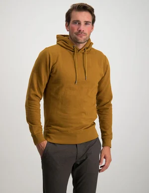 Petrol Men Sweater Hooded M-3020-SWH003