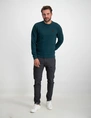 Petrol Men Sweater Round Neck M-3030-SWR386