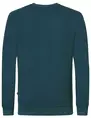 Petrol Men Sweater Round Neck M-3030-SWR386