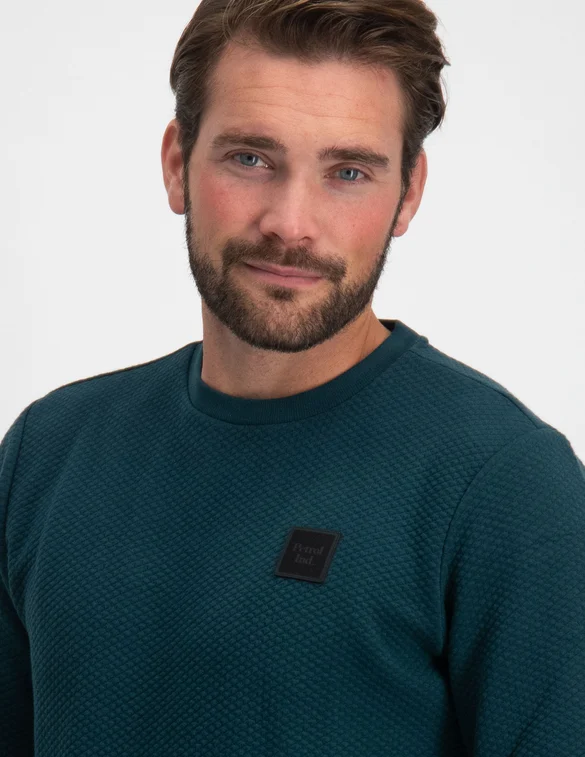 Petrol Men Sweater Round Neck M-3030-SWR386
