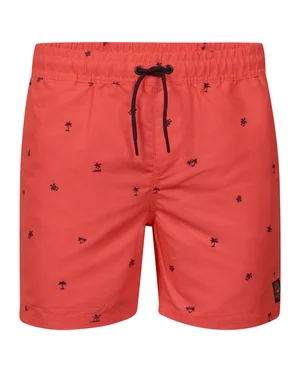 Petrol Men Swimshort M-1030-SWS951