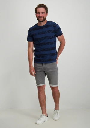 Petrol Men T-Shirt SS AOP M-1040-TSR173