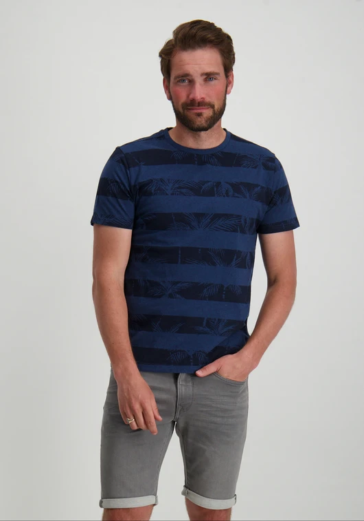 Petrol Men T-Shirt SS AOP M-1040-TSR173
