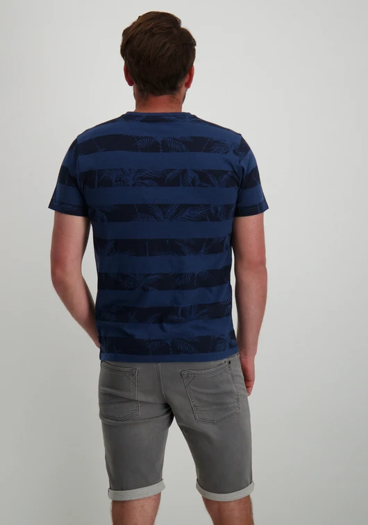 Petrol Men T-Shirt SS AOP M-1040-TSR173