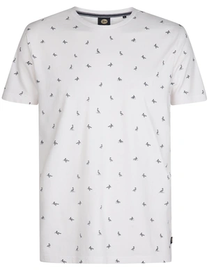 Petrol Men T-Shirt SS AOP M-1050-TSR118