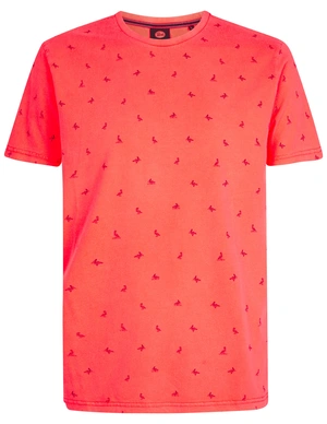 Petrol Men T-Shirt SS AOP M-1050-TSR118