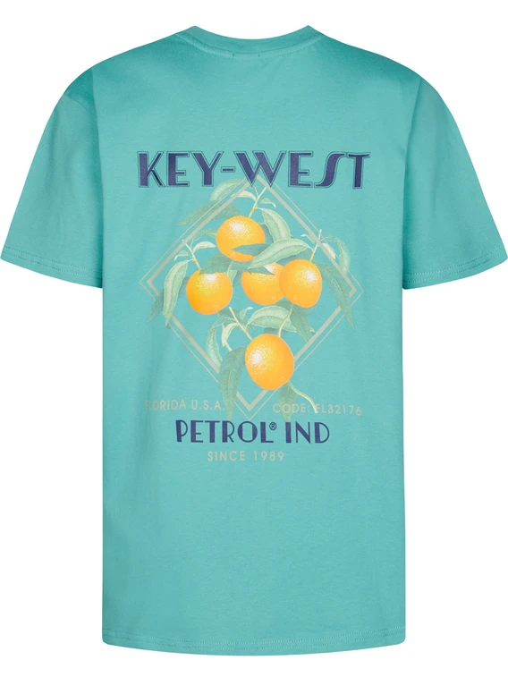 Petrol Men T-Shirt SS Classic Print M-1050-TSR649