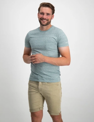Petrol Men T-Shirt SS M-1030-TSR689