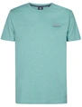 Petrol Men T-Shirt SS M-1050-TSR647