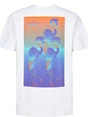 Petrol Men T-Shirt SS M-1050-TSR648