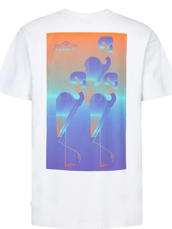 Petrol Men T-Shirt SS M-1050-TSR648
