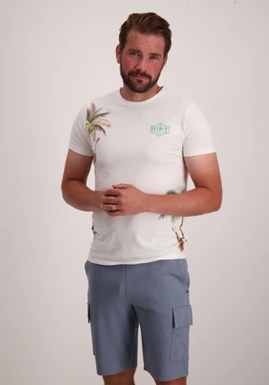 Petrol Men T-Shirt SS M-1050-TSR673