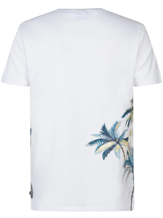 Petrol Men T-Shirt SS M-1050-TSR673