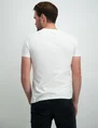 Petrol Men T-Shirt SS Photo Print M-1030-TSR604
