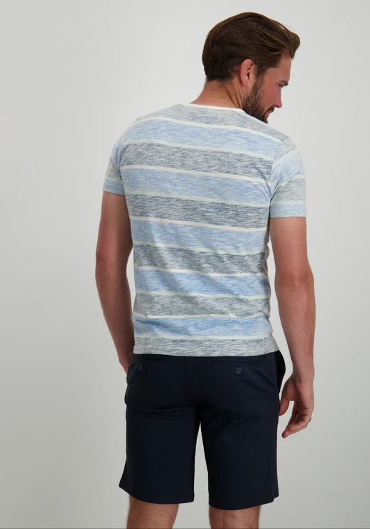 Petrol Men T-Shirt SS V-Neck M-1040-TSV180