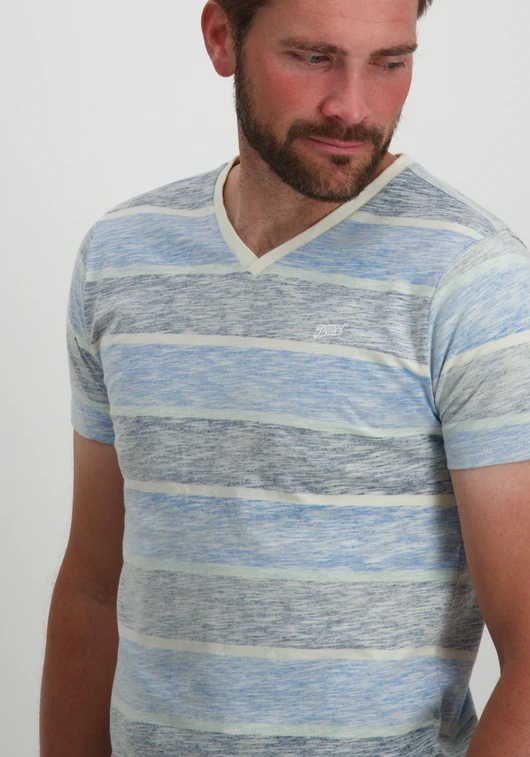 Petrol Men T-Shirt SS V-Neck M-1040-TSV180