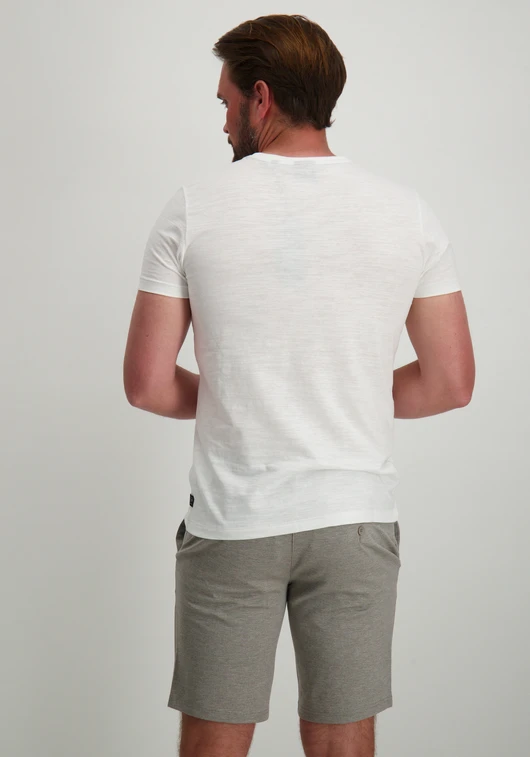 Petrol Men T-Shirt SS V-Neck M-1050-TSV662