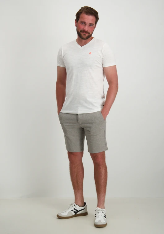 Petrol Men T-Shirt SS V-Neck M-1050-TSV662