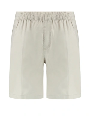 Pure Path Regular fit Casual Shorts 25010503