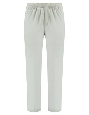 Pure Path Regular fit Smart Pants 25010511