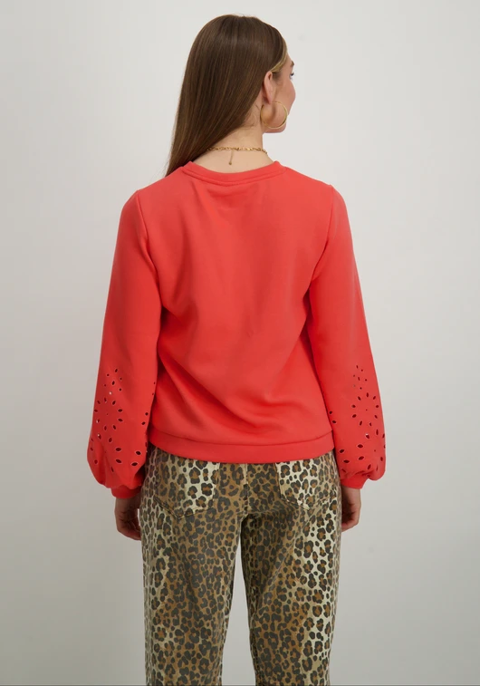 Vila VISIFFEN EMB O-NECK L/S TOP/R 14104779
