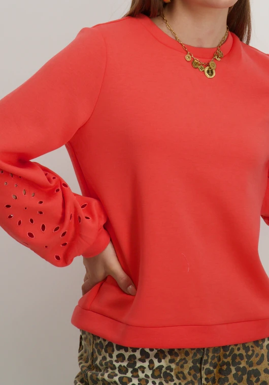 Vila VISIFFEN EMB O-NECK L/S TOP/R 14104779