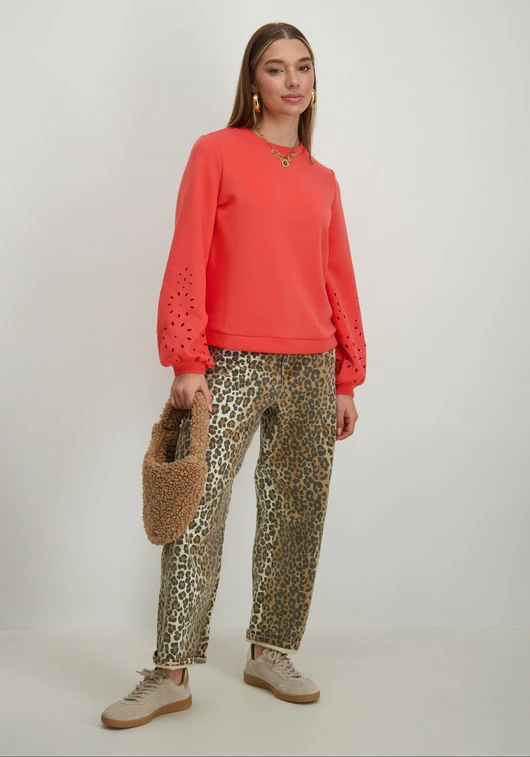 Vila VISIFFEN EMB O-NECK L/S TOP/R 14104779