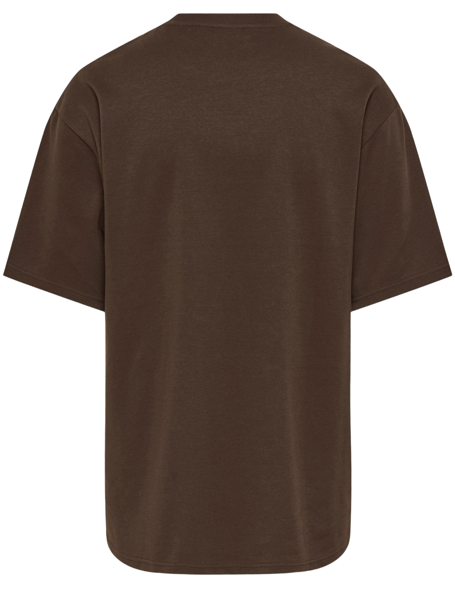 ONLY & SONS T-shirt Caspian airflex 22031940 Bruin