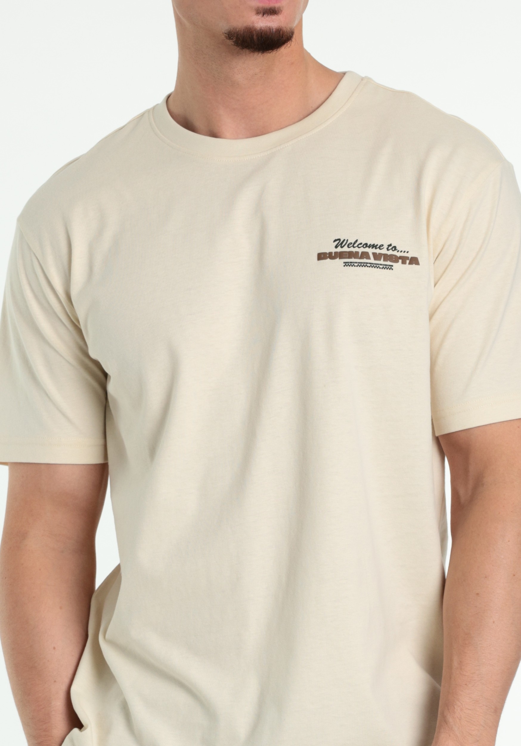 ONLY & SONS T-shirt Kiki 22038264 Ecru