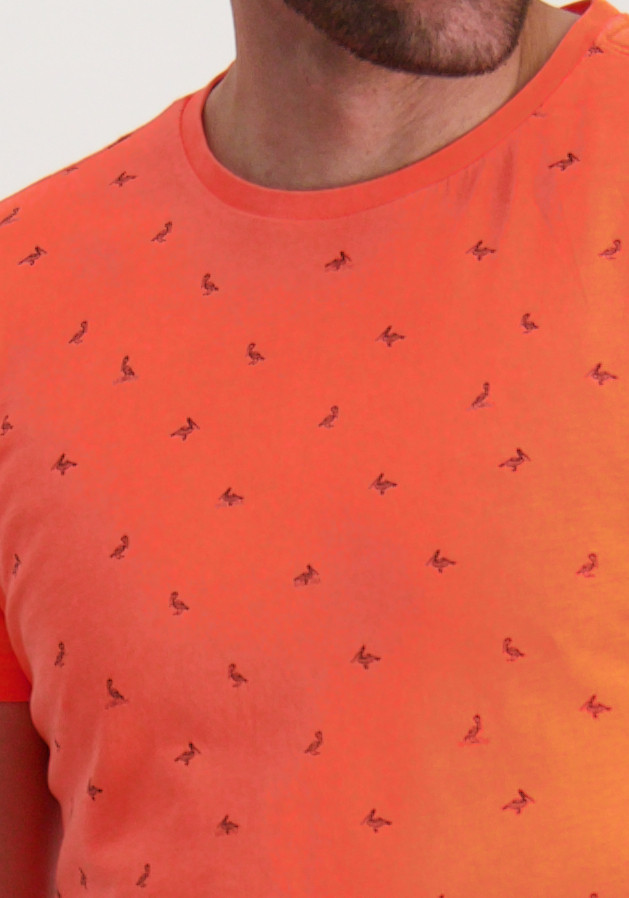Petrol T-shirt met pelikaan print M-1050-TSR118 Koraal