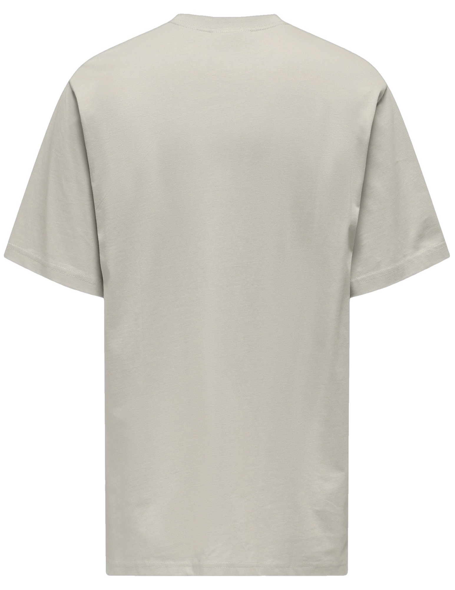 ONLY & SONS T-shirt Curated 22030925 Licht grijs
