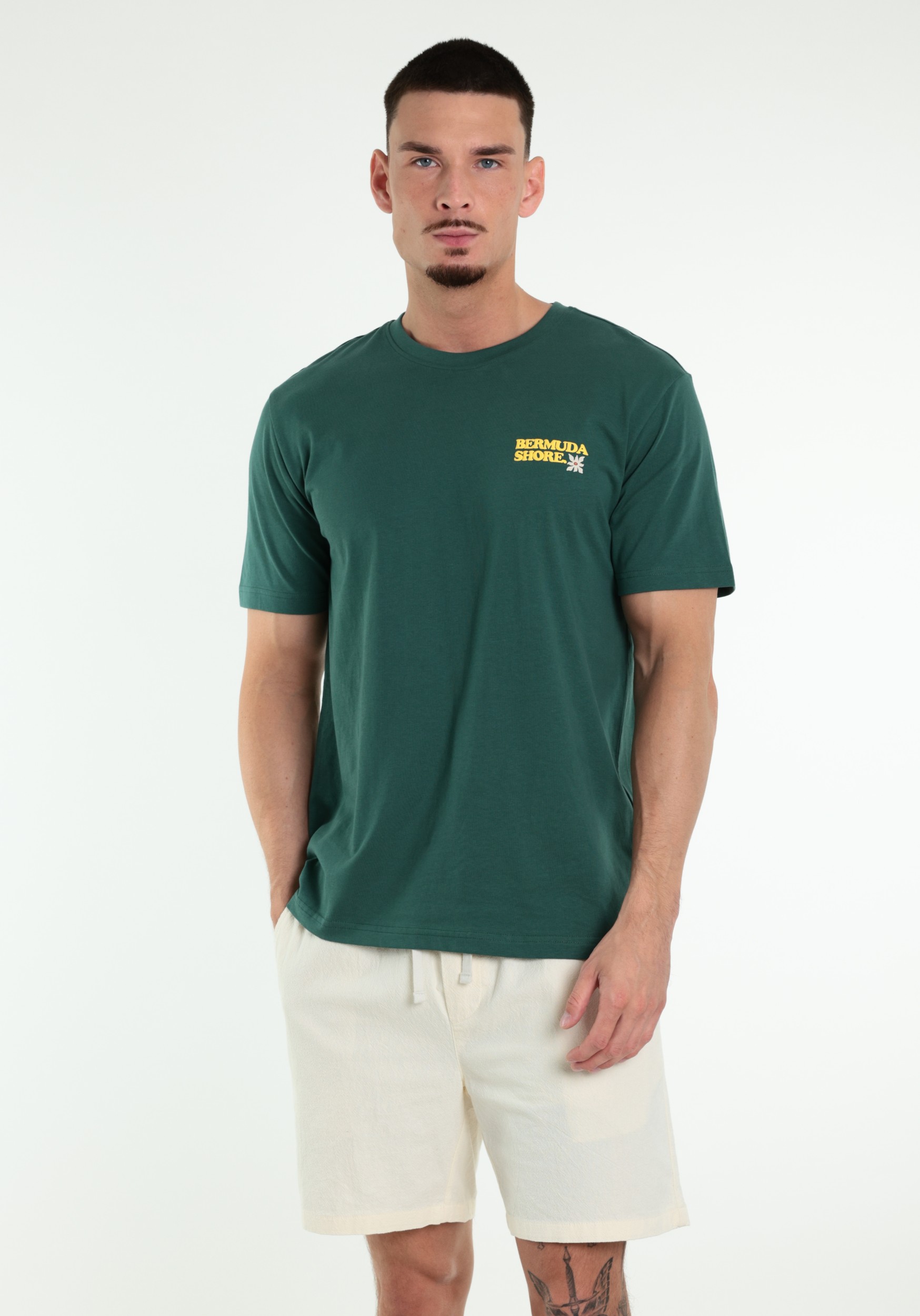 ONLY & SONS T-shirt Kiki 22038264 Groen