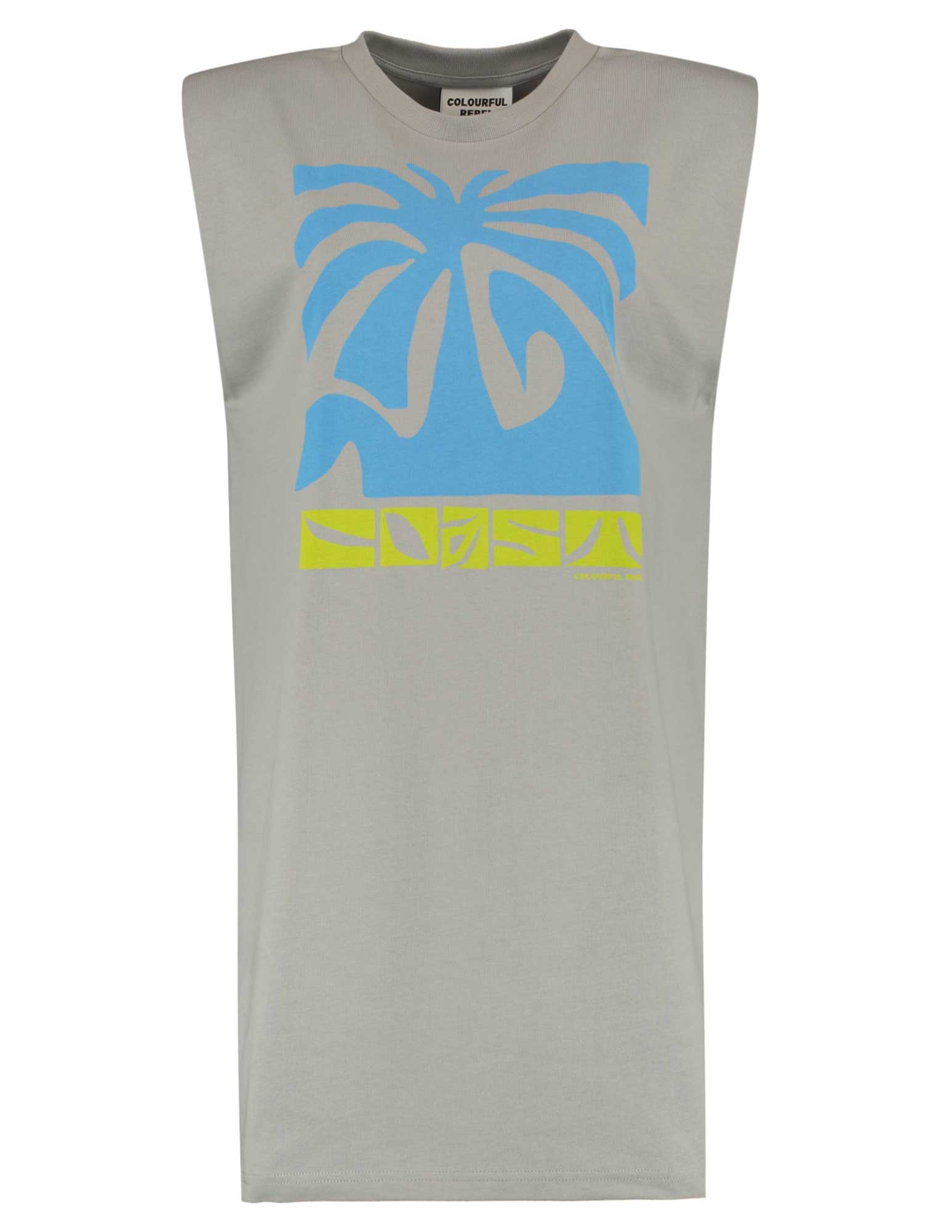 Colourful Rebel Jurk Palm Coast WD115767 Licht grijs