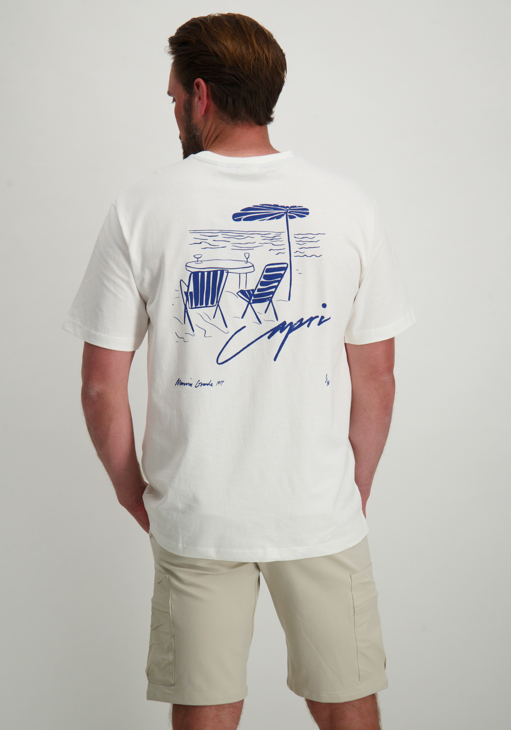 ONLY & SONS T-shirt Milo 22035271 Wit