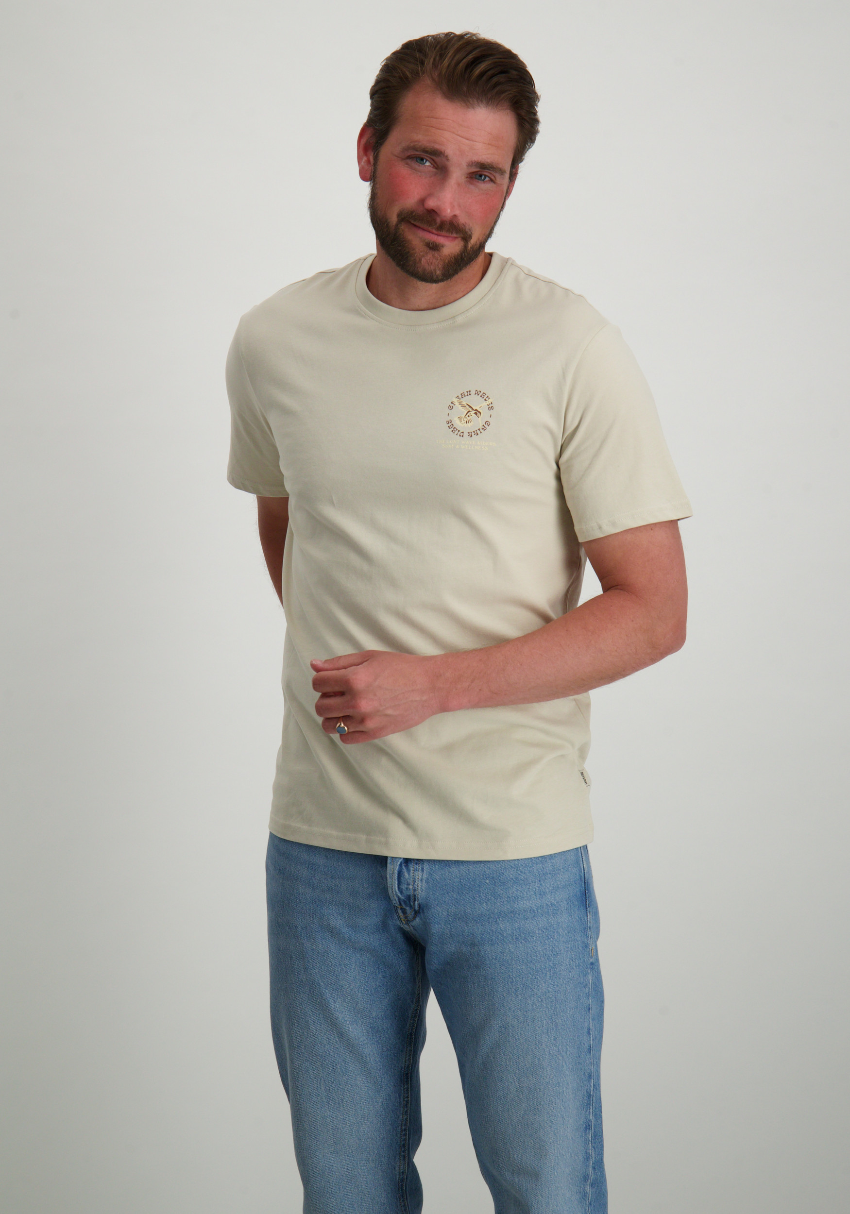 ONLY & SONS T-shirt Manuel 22035647 Zilver