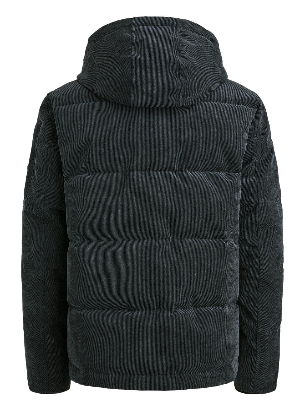 PME Legend Winterjas Globbler PJA2508104 Donker blauw