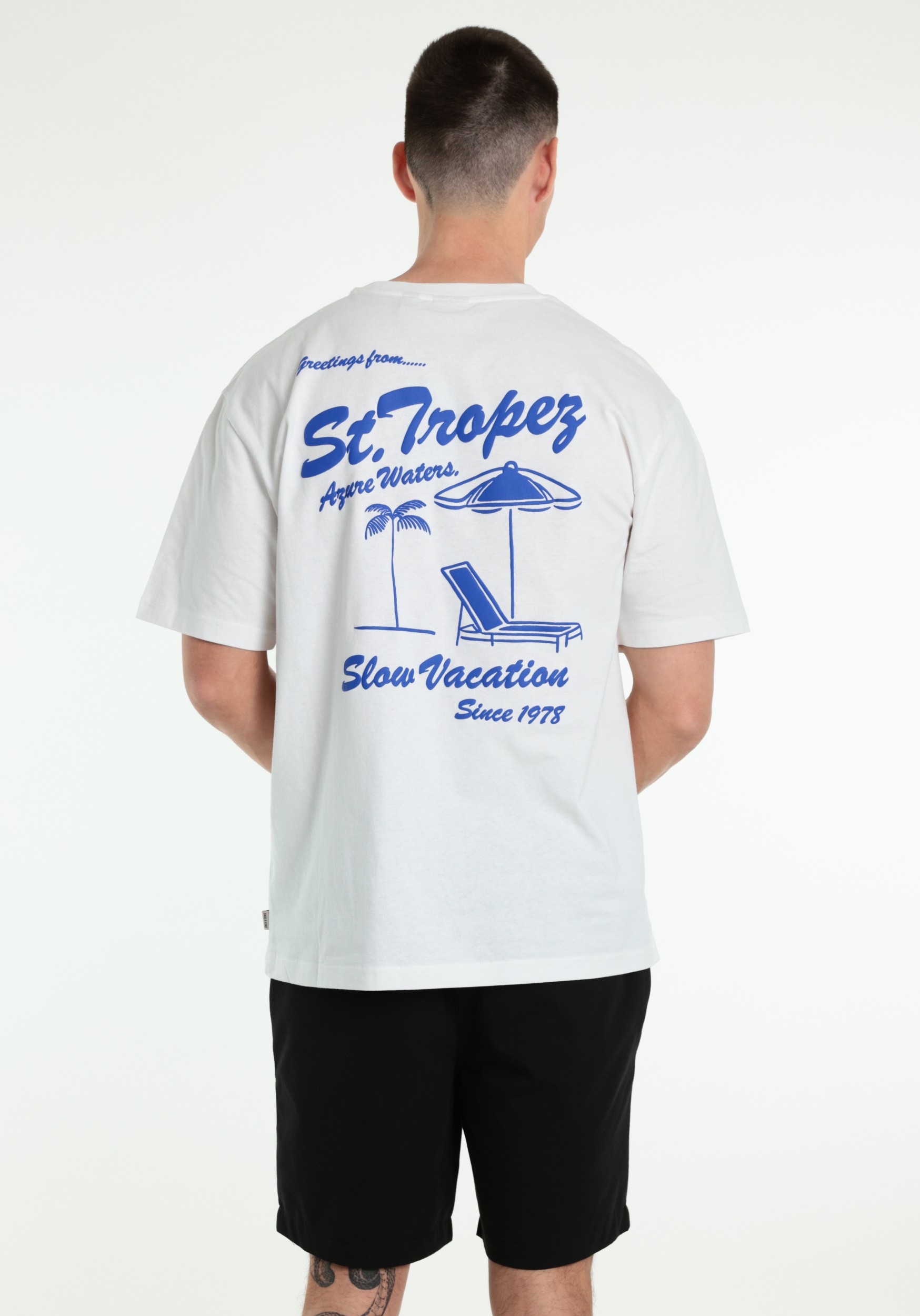 ONLY & SONS T-shirt Milo 22039621 Wit