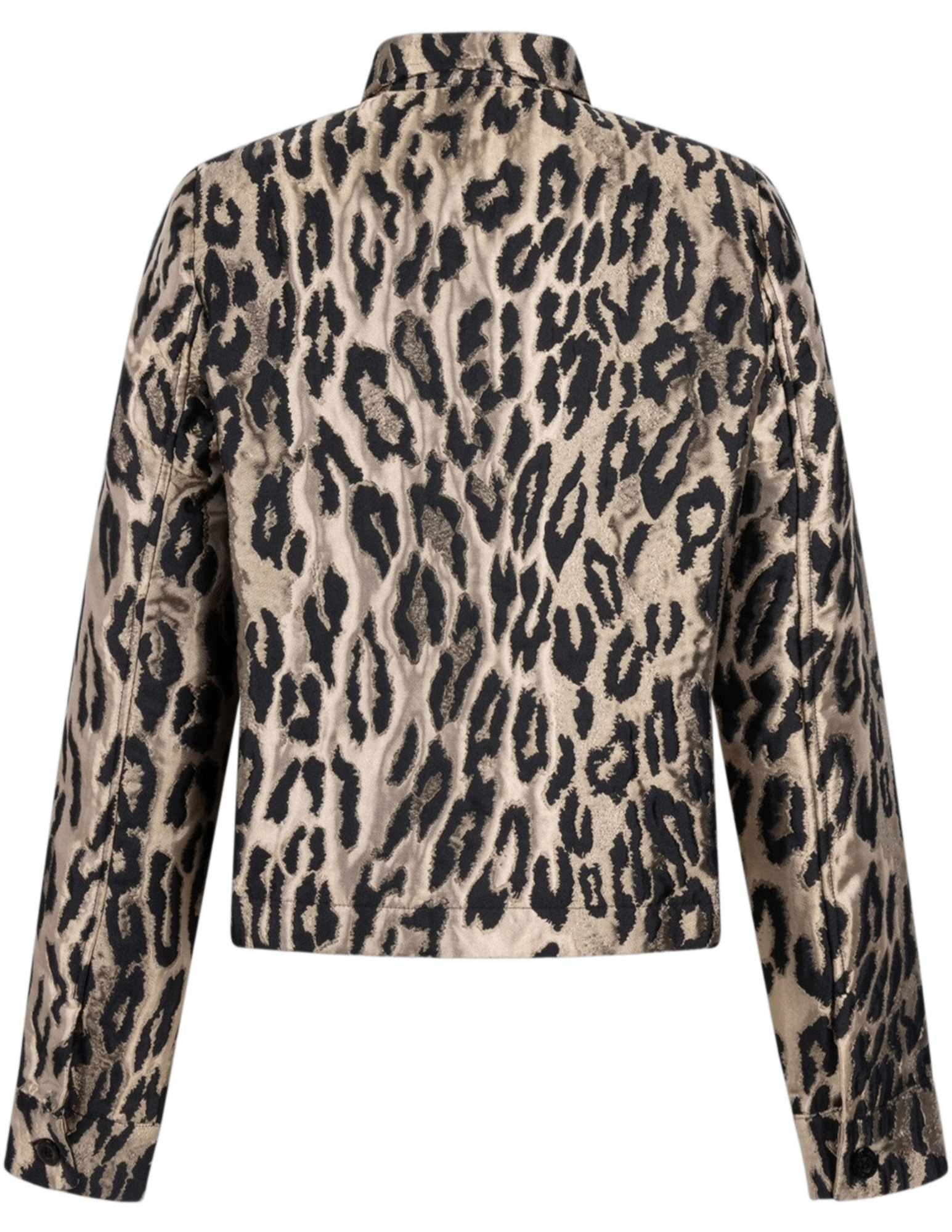 Zoso Jacket 255Dalia Multi