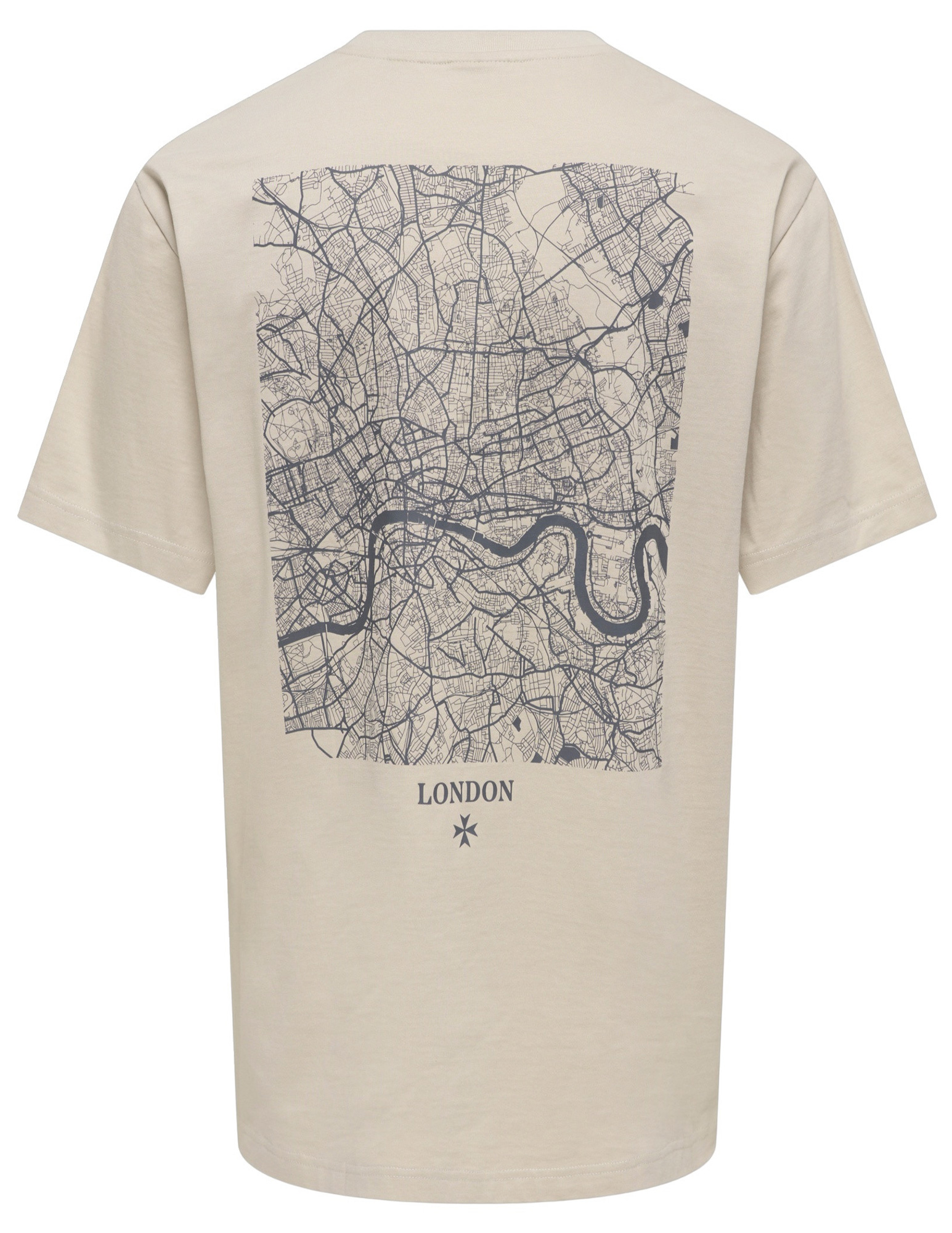 ONLY & SONS T-shirt Fred 22038318