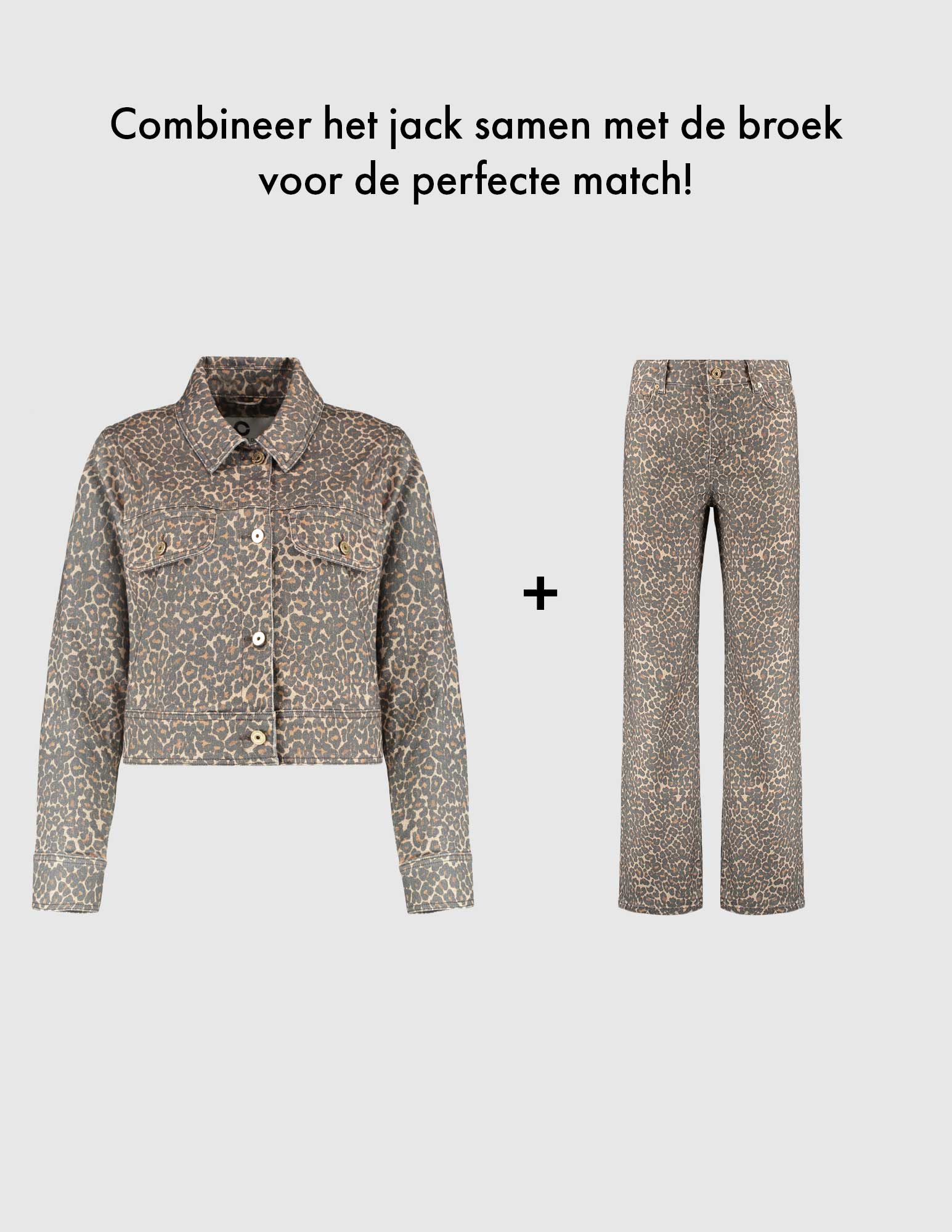 Cup of Joe Jeans Sara Bruin